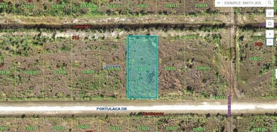 Lake Weohyakapka Lot For Sale in Indian Lake Estates, Florida