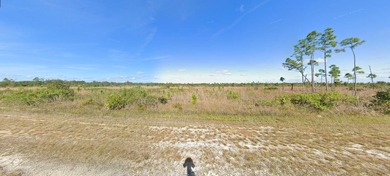 Vacant  land available at 508 Portulaca Drive, Florida (33855)! - photo 2