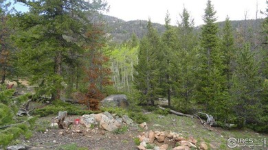 Panhandle Reservoir Lot For Sale in Red Feather Lakes Colorado