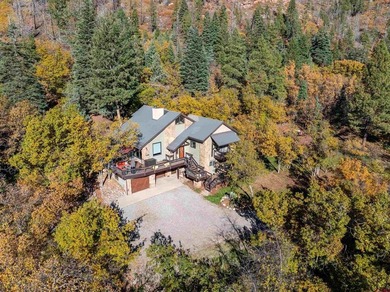 (private lake, pond, creek) Home Active Under Contract in Durango Colorado