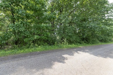 Buildable lot with 141 ft of frontage on no wake Puterbaugh Lake - photo 4