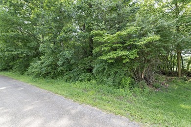 Buildable lot with 141 ft of frontage on no wake Puterbaugh Lake - photo 6