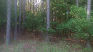 Lake Acreage For Sale in Tignall, Georgia