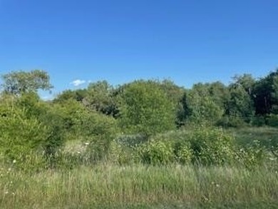 3,200 SQ FOOT OUTBUILDING CAN BE BUILT ON THIS LOT. BEAUTIFUL - photo 4