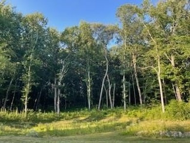 3,200 SQ FOOT OUTBUILDING CAN BE BUILT ON THIS LOT. BEAUTIFUL - photo 7