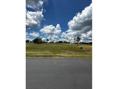 Lake Lot For Sale in Streetman, Texas
