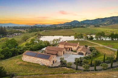 Krupp Brothers Estate is a remarkable 20-acre Napa Valley winery - photo 1