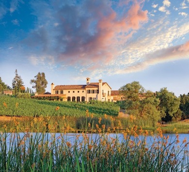 Krupp Brothers Estate is a remarkable 20-acre Napa Valley winery - photo 2
