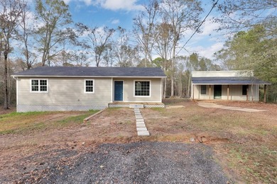 Lower Raintree Lake Home For Sale in Gilmer Texas