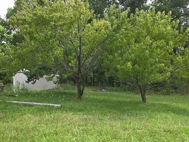 Discover the potential of this 4+ acre property featuring a 4 - photo 6