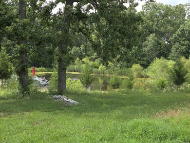 Discover the potential of this 4+ acre property featuring a 4 - photo 7