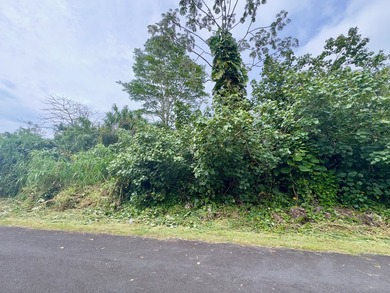 Opportunity awaits on this lot in Hawaiian Beaches! Enjoy paved - photo 3