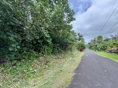 Opportunity awaits on this lot in Hawaiian Beaches! Enjoy paved - photo 4