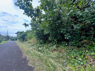 Opportunity awaits on this lot in Hawaiian Beaches! Enjoy paved - photo 5