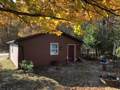 Lake Lot For Sale in Fountain, Michigan