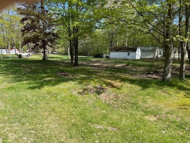 Lake Lot For Sale in Roscommon, Michigan