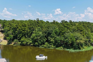 Lake Lot For Sale in Sylacauga, Alabama