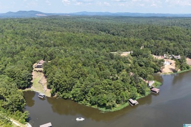 Welcome to The Preserve at Lay Lake, a premier gated community - photo 2