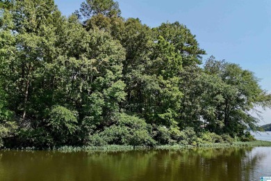 Welcome to The Preserve at Lay Lake, a premier gated community - photo 5