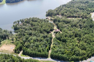 Welcome to The Preserve at Lay Lake, a premier gated community - photo 8