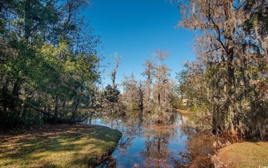 Welcome to Pheasant Loop in beautiful Belle Isle! This stunning - photo 4