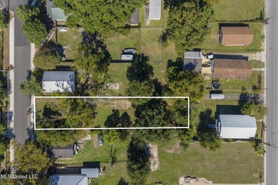 Fantastic opportunity to own a beautifully located 0.24-acre lot - photo 2