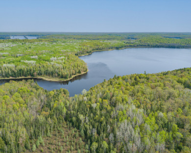 Round Lake - Vilas County Acreage For Sale in Presque Isle Wisconsin