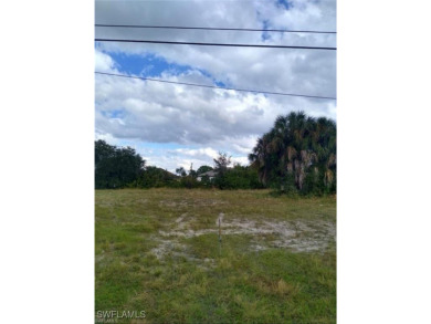 Waterfront residential lot located in north Cape Coral. HUGE - photo 4