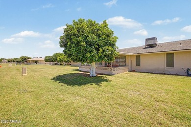 Embrace the Sun City lifestyle in this charming 2BR/2BA home! - photo 43