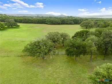 7 Acres. 100-Year Barn. Live Oaks. Legacy Property, Priced to - photo 47