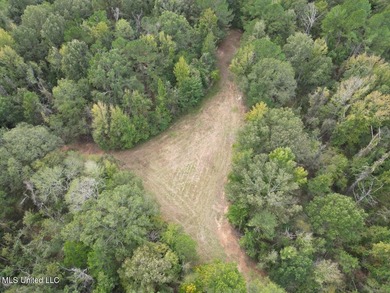 (private lake, pond, creek) Acreage Sale Pending in Pattison Mississippi