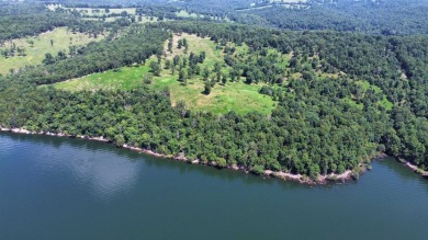 Lake Acreage For Sale in Clarkridge, Arkansas