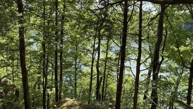 Waterfront Escape on Lake Cumberland - photo 4