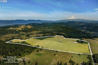 Set in the rolling White Salmon hills with views of Mt. Hood and - photo 2