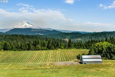 Set in the rolling White Salmon hills with views of Mt. Hood and - photo 3