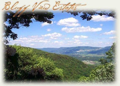 Beautiful lot in a nature resort! This 3.36 acre lot is fully - photo 11