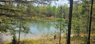 Beautiful lot in a nature resort! This 3.36 acre lot is fully - photo 13