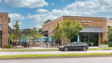 Welcome to the new Ashley Walk Townes community! These brand-new - photo 13
