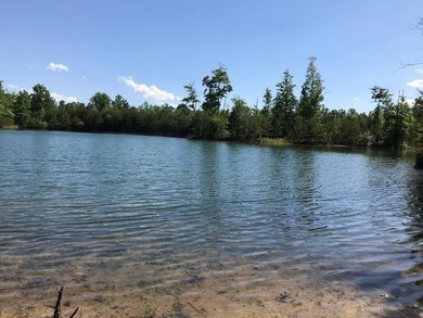 Beautiful lot in a nature resort! This 3.36 acre lot is fully - photo 14