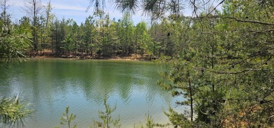 Beautiful lot in a nature resort! This 3.36 acre lot is fully - photo 15
