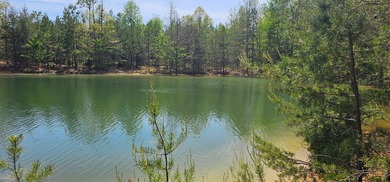 Beautiful lot in a nature resort! This 3.36 acre lot is fully - photo 16