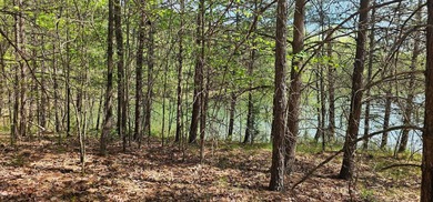 Beautiful lot in a nature resort! This 3.36 acre lot is fully - photo 17