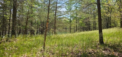 Beautiful lot in a nature resort! This 3.36 acre lot is fully - photo 18