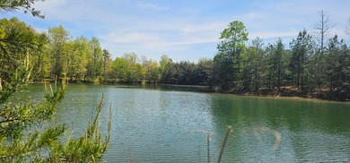 Beautiful lot in a nature resort! This 3.36 acre lot is fully - photo 19