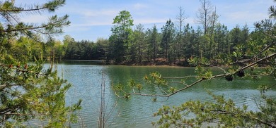 Beautiful lot in a nature resort! This 3.36 acre lot is fully - photo 20