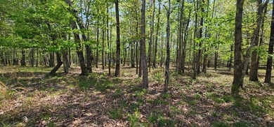 Beautiful lot in a nature resort! This 3.36 acre lot is fully - photo 21