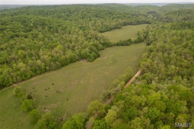 Clearwater Lake -Reynolds County Acreage For Sale in Piedmont Missouri