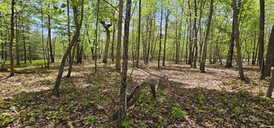 Beautiful lot in a nature resort! This 3.36 acre lot is fully - photo 23