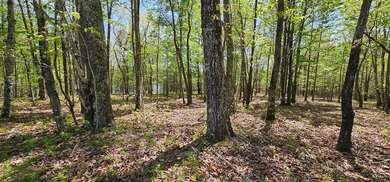 Beautiful lot in a nature resort! This 3.36 acre lot is fully - photo 24