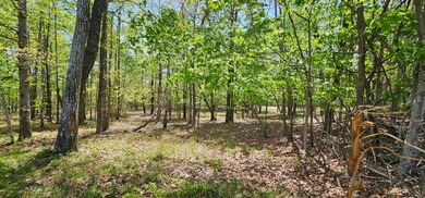 Beautiful lot in a nature resort! This 3.36 acre lot is fully - photo 25